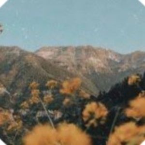 Meet your Posher, Miranda